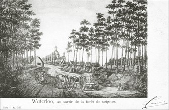 Waterloo: at the end of the Soignes forest.