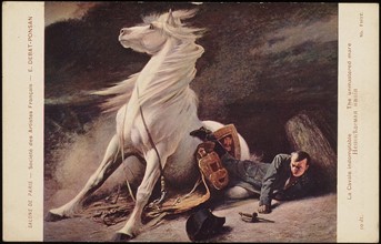 Napoleon I: the untameable mare.