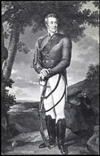 Portrait du général Wellington.