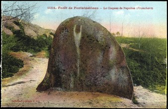Forest of Fontainebleau: The hat of Napoleon I.