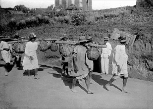 Wine carriers, Madagascar