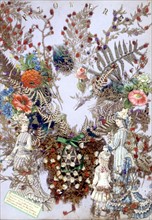 Herbier, illustration de la fin de la fin du XIXe siècle