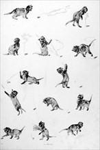 Cats, something's burning by Steinlen