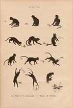 Chats, le chat et la grenouille par Steinlen