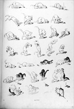 Cats, rescued by Steinlen