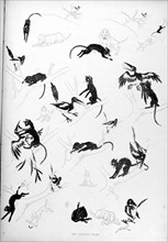 Cats, the theives robbed by Steinlen