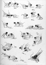 Cats, the Poor Little Mouse by Steinlen