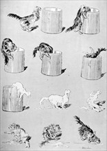 Cats, one effect of over eating by Steinlen