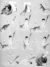 Cats, how a Little Black Cat Becomes a Pretty White Cat by Steinlen