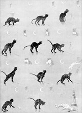 Cats, a bad step by Steinlen