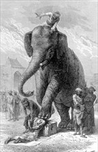 Condamné exécuté par un éléphant, à Baroda