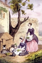 Leisure scene, illustration