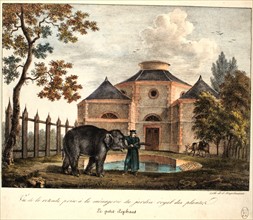 Menagerie at the Jardin des Plantes, the little elephant