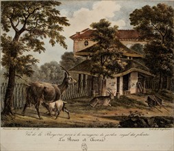 Saunier, sheep pen in the Jardin des Plantes menagerie, billy-goat and goats