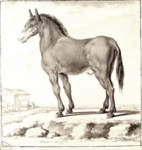 Cheval, drawing by Seve