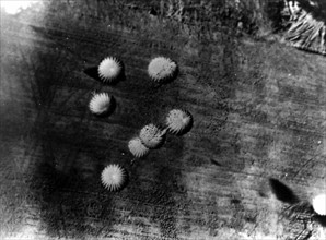 Parachutage de matériel de ravitaillement pour les troupes alliées
