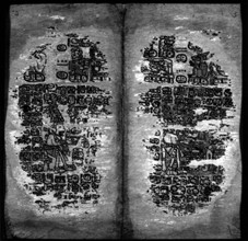 Manuscrit maya sur papier d'agave, écriture hiératique