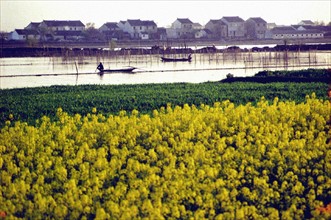 Le lac Taihu