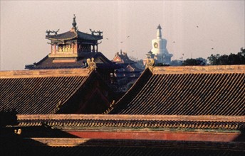 Le Palais impérial, la Cité Interdite à Beijing/Pékin