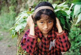 Enfant transportant des feuilles sur le dos, Muotuo