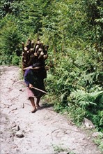 Femme transportant des fagots sur le dos, Muotuo