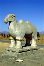 Les tombeaux Qing de l'Est, sculpture animalière en pierre sur le Chemin de l'Esprit