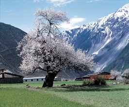 Paysage de montagne, Chine