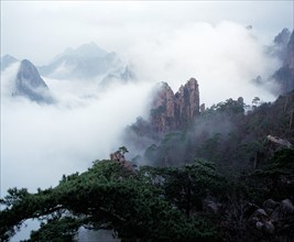 Plateau d'altitude, Montagne Huangshan, province de l'Anhui, Chine