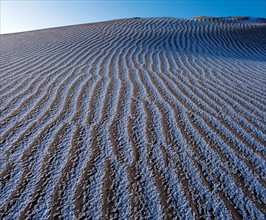 Dune in the desert, China