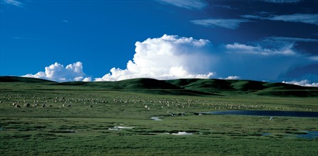 Prairies dans la province du Hebei, Chine