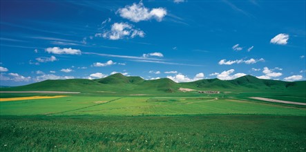 Landscape grassland, China