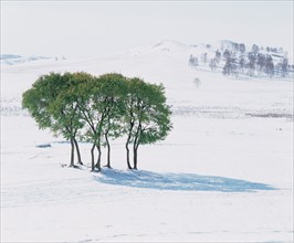 Snowy landscape, China