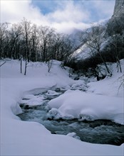 Snowy landscape, China