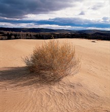 Sandy landscape, China