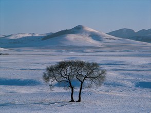 Snowy landscape, China