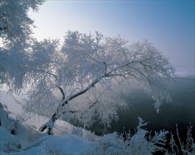 Snowy  landscape, China