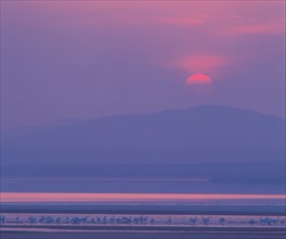 Lac Swan, Chengshanjiao, province du Shandong, Chine