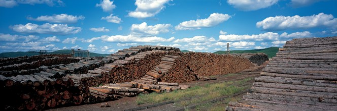 Chantier de bois, Comté de l'Elunchun, Chine