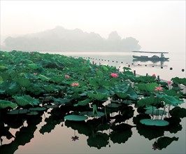 Lac recouvert de nénufars, Chine