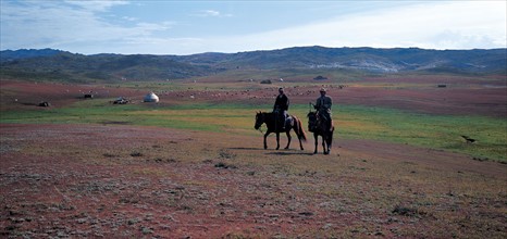 Kazak riding horses, Xinjiang province, China