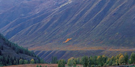 Mount Altay, Xinjiang Province, China