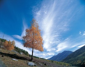 Province du Xinjiang, Chine