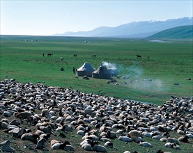 Prairie Nalati, province du Xinjiang, Chine