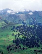 Nature, province du Xinjiang, Chine