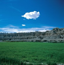 Forêt d'Argile à Zanda, Tibet, Chine