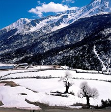 Paysage enneigé, province du Yunnan, Chine
