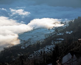 Terrace YuanYang, province du  Yunnan, Chine