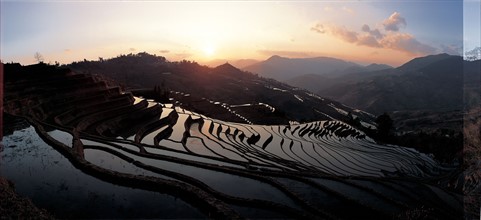 Terrace Yuanyang, province du Yunnan, Chine