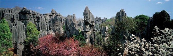 Forêt de pierre, province du Yunnan, Chine