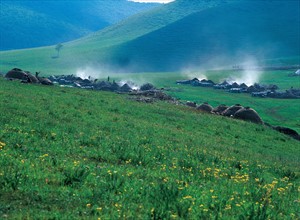 Meadow landscape, Hebei Province, China